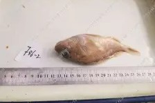 壹号入口 -女buguo7nanbuguo8